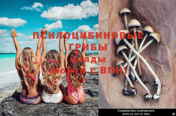 mdpv Надым